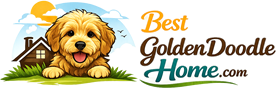 Best Golden Doodles Home